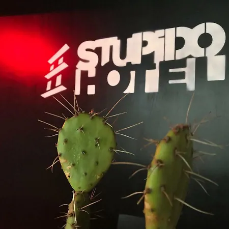 Hotel Stupido