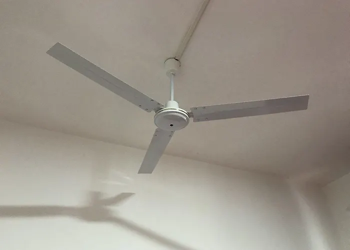 Stupido Римини